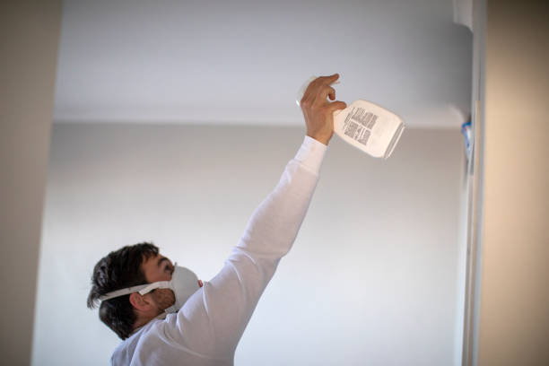 Best Affordable Mold Removal  in Brooklet, GA